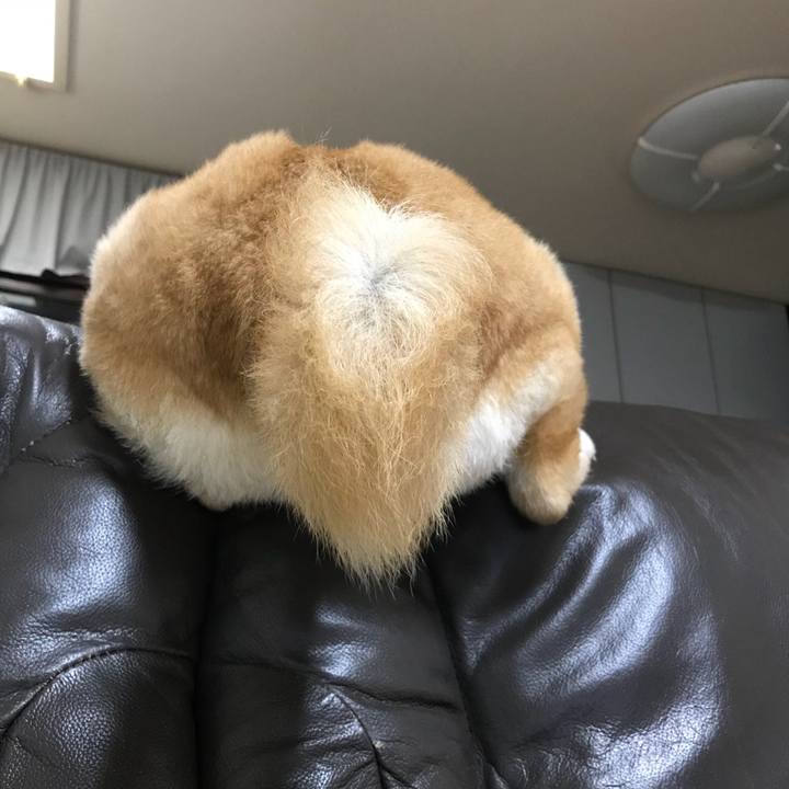 A8fae4e5 25fe 4f1e a190 ff7cb6da8bbb 1521424848202