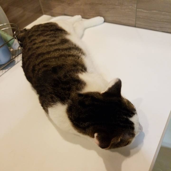 A8fb0303 91b7 40b5 91a8 3e3f967390bc 1563313044258