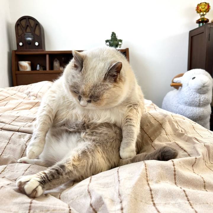 A8fb100b b4b6 4526 a7d2 cb09ea85f521 1762160644496