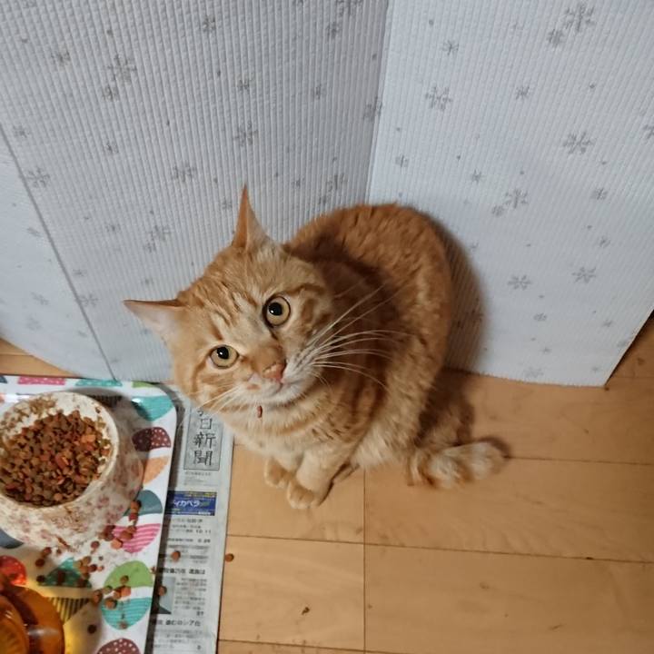 A8fb14ed 21dd 4787 b3e5 e247a261cab4 1654253357537