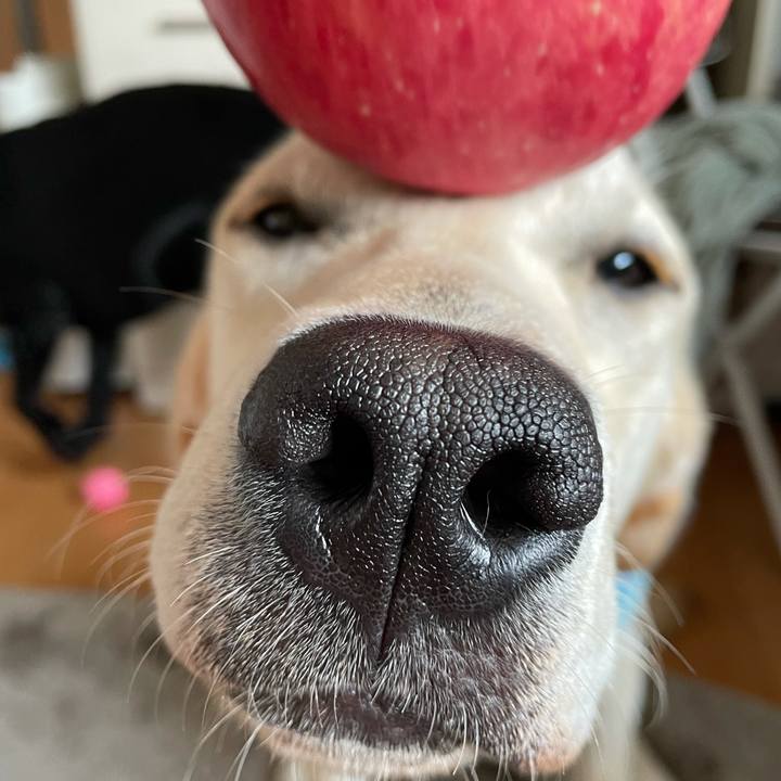 A8fb2175 8d2c 46e4 8e97 c811f26d2d80 1624598555710