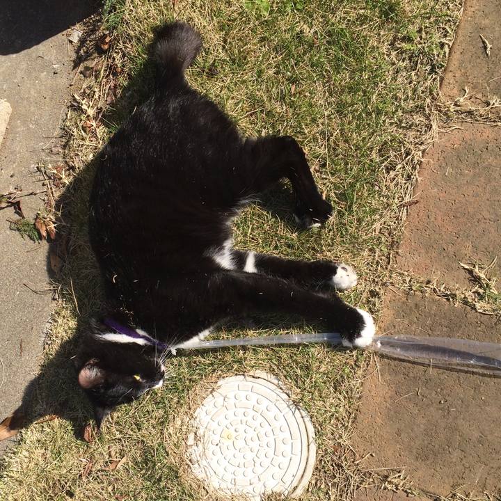 A8fb218b eef8 4d19 b830 74be0048a94b 1511927456911