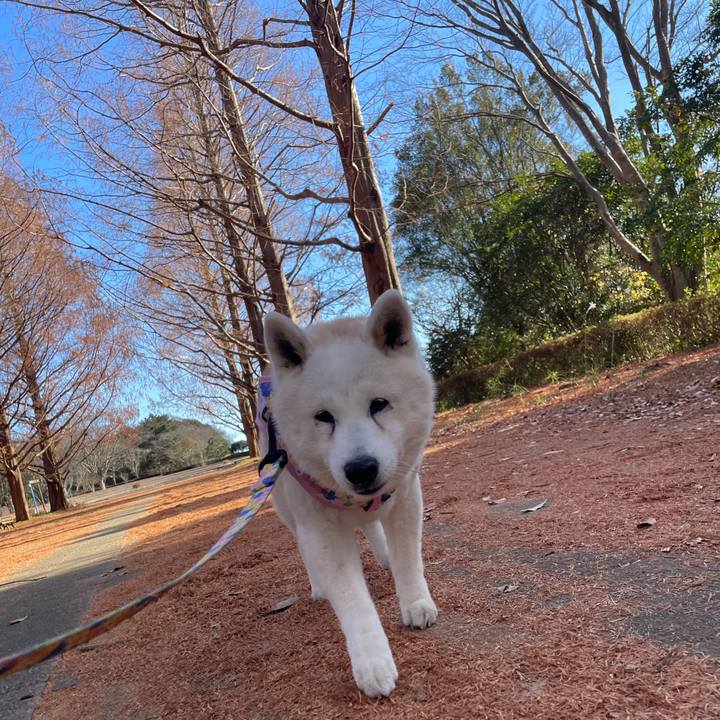 A8fb3298 c77a 4238 a4b5 fa0119ddfc0b 1736425468811