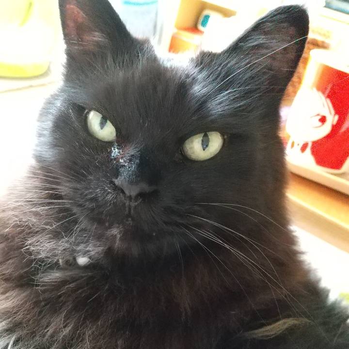 A8fb4da2 a8dd 40c7 ace5 a6e0ecae7324 1621465918401