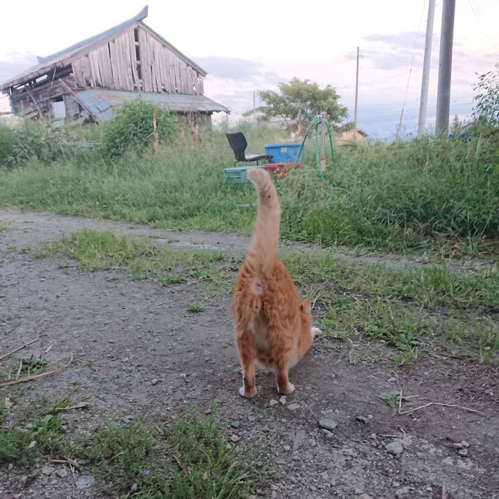 A8fb884a be37 4113 b921 cc473ed25b15 1600506244704