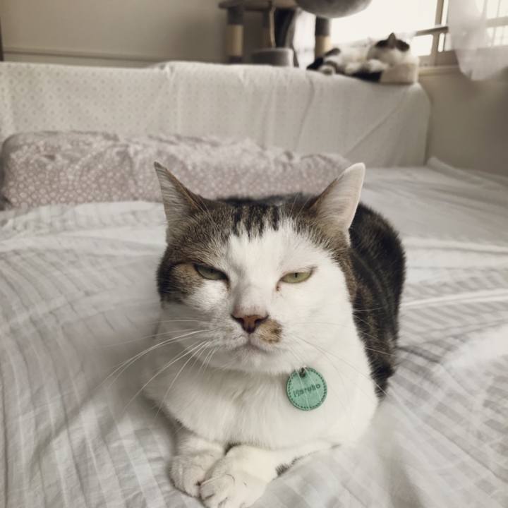 A8fb9f89 ad89 4245 adea a0a523ce68fb 1558846514934