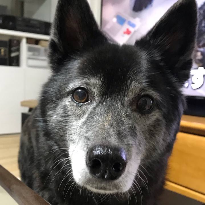 A8fbd8dd ca8e 4bf8 994f 1c3eb959e159 1644218820938