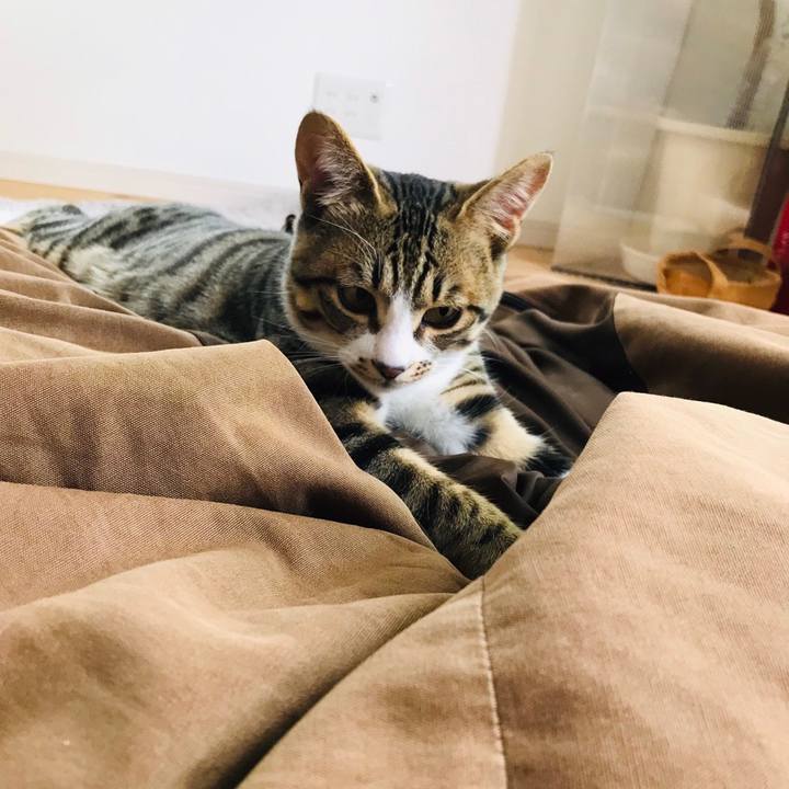 A8fbdcf5 161f 48ca 9f93 3f110c8eb93d 1588417240889