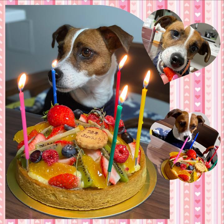 A8fbea39 b484 4cd7 a42f 80a000ca1bb0 1644838045310