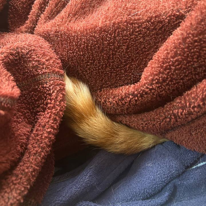 A8fc5744 9a00 43dc bb8a 94375fc5307e 1768092329568