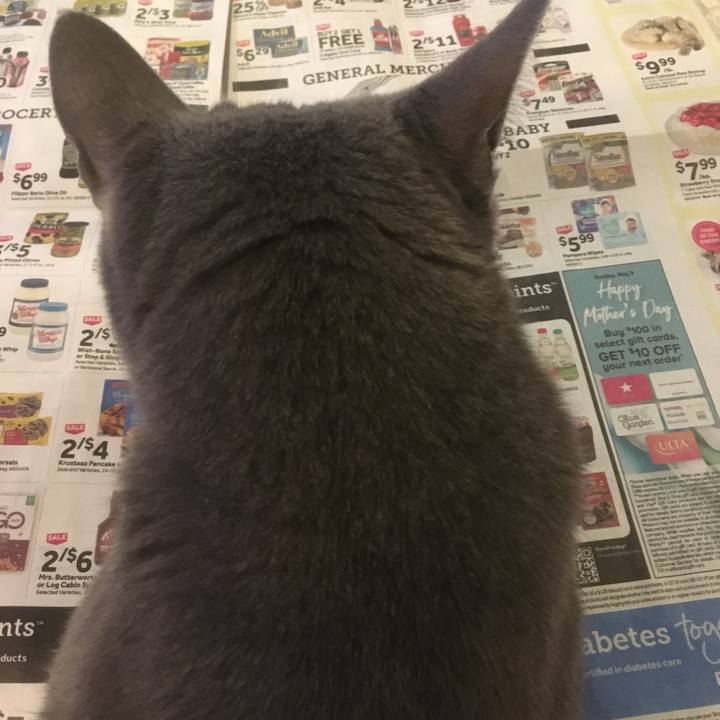 A8fc8461 3e4f 484a 91b8 22dd016a734c 1633568310980