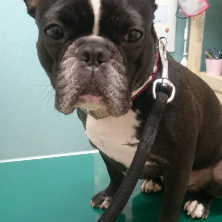 A8fc89fb f7a9 43d1 b0a6 72ebbcc3e49d 1527765797335