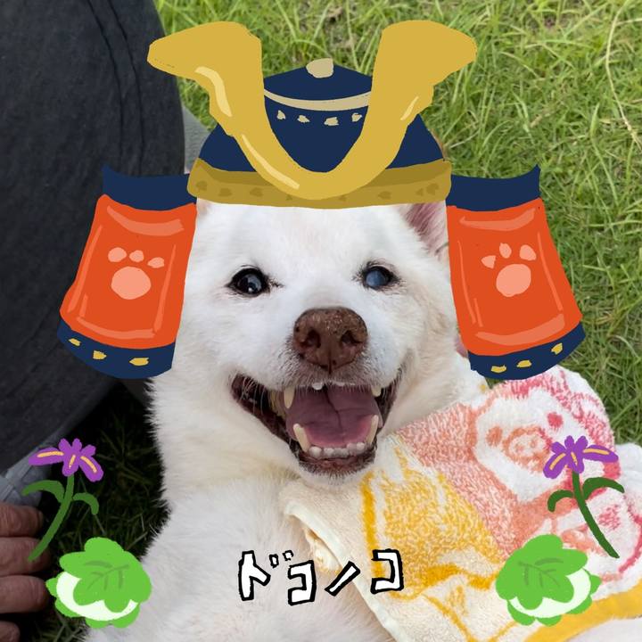 A8fc9926 920f 4ed3 aef0 bac90b769524 1714909724226