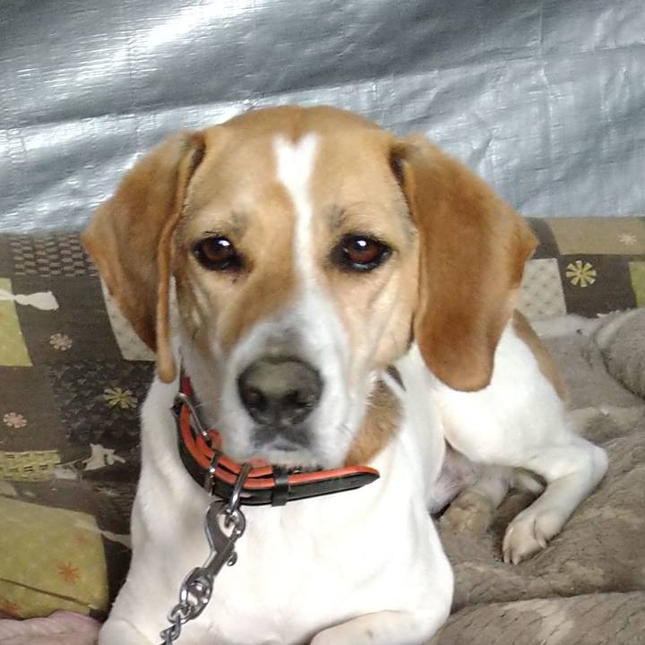 A8fca1b2 7b76 4158 a7cf 6ba1d6b10c05 1621431573138