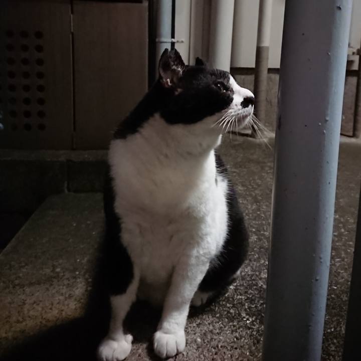 A8fcae26 8865 4126 a8f1 6081496eb0ec 1660918192372