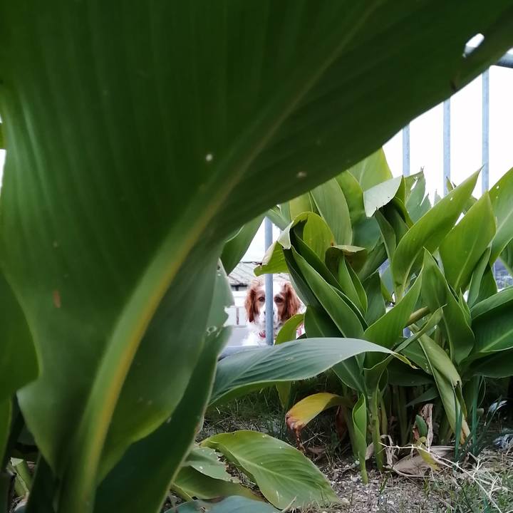 A8fcf84c d63a 4f9c 9bbd f665111c279c 1575624194565