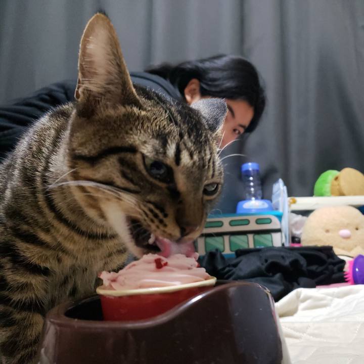 A8fd0bfb 7f9b 415e 9e8c 9ba839560aa1 1545656264939