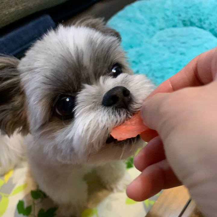 A8fd22fa 8ee4 477e b54f 4a7e0e730d65 1592558488742