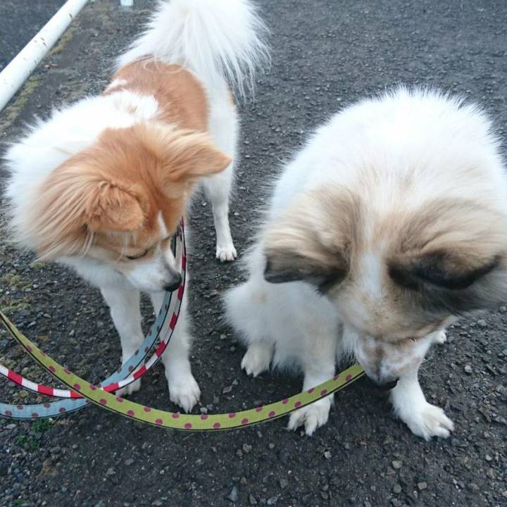 A8fd2413 785b 4284 8929 e7f5056d3bce 1520949446242