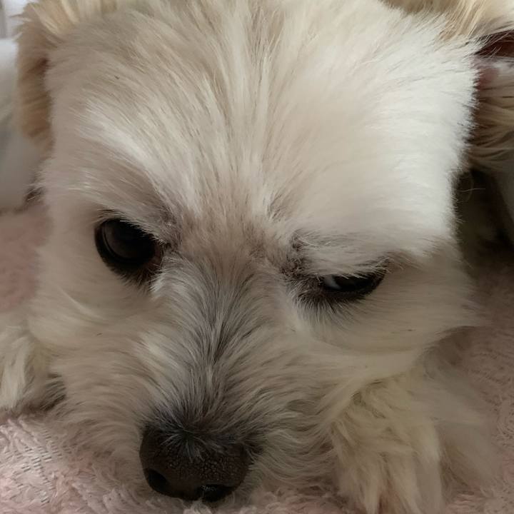 A8fd710e 83a9 4d72 902f aca52976f858 1588982127376