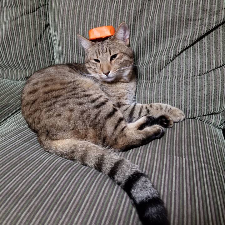 A8fdd628 207c 4afb 8b03 596b6ffcc281 1684679503357