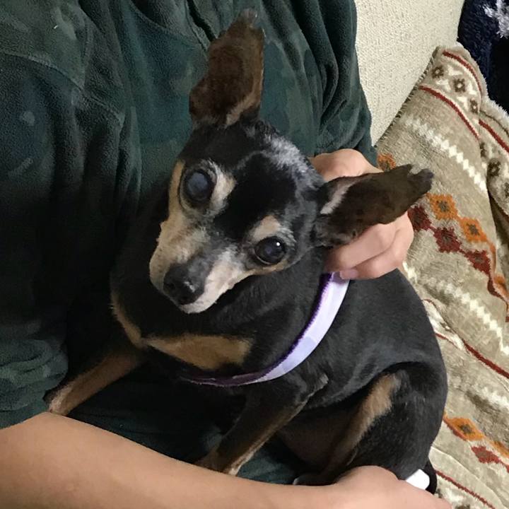 A8fde0ad e87c 4322 a99a 86b1ea54c955 1549721060871