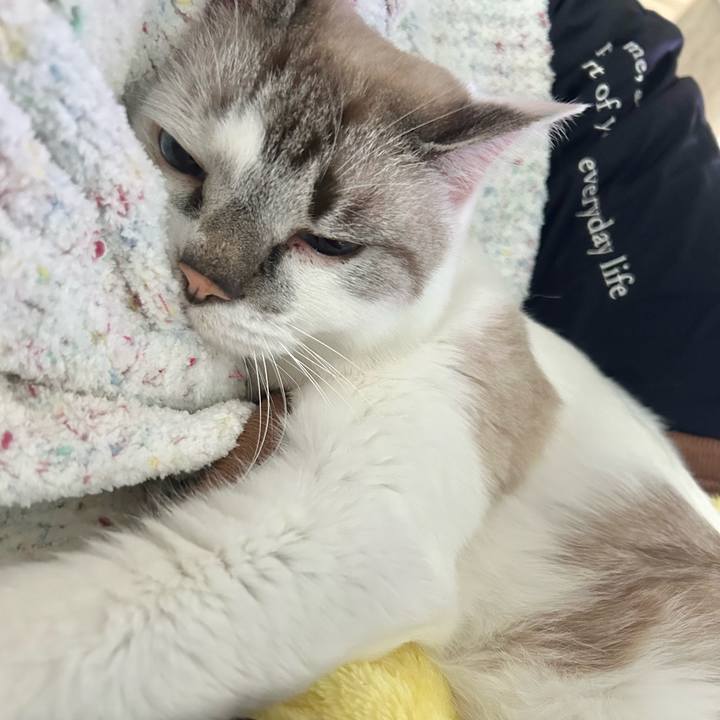 A8fdf7bc 752e 49a0 b553 b9eedadadaf8 1699679533531