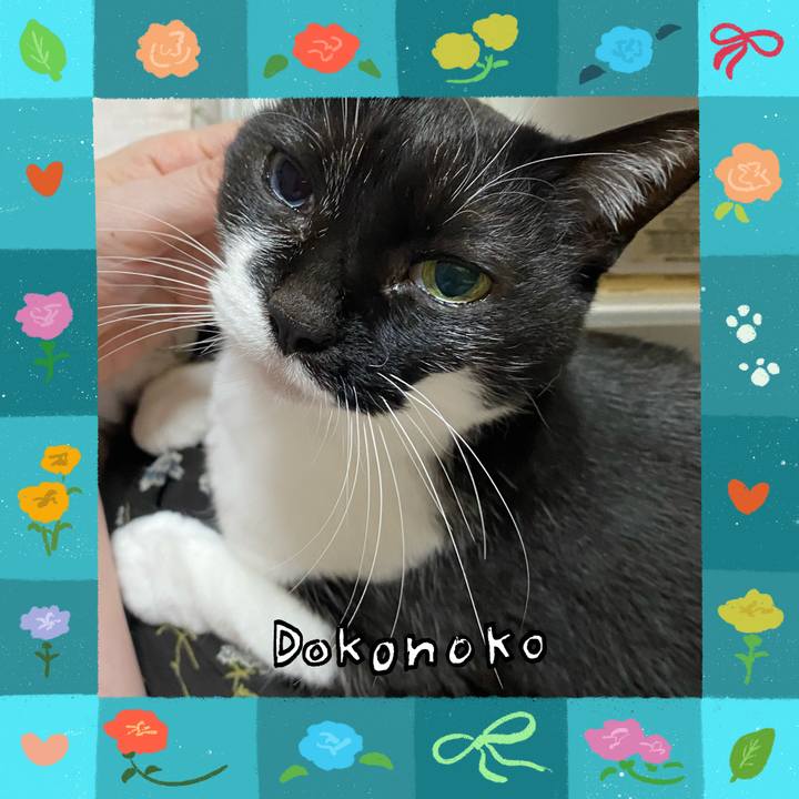 A8fdfa60 099f 40ef 8080 850679b73a5f 1715430187314