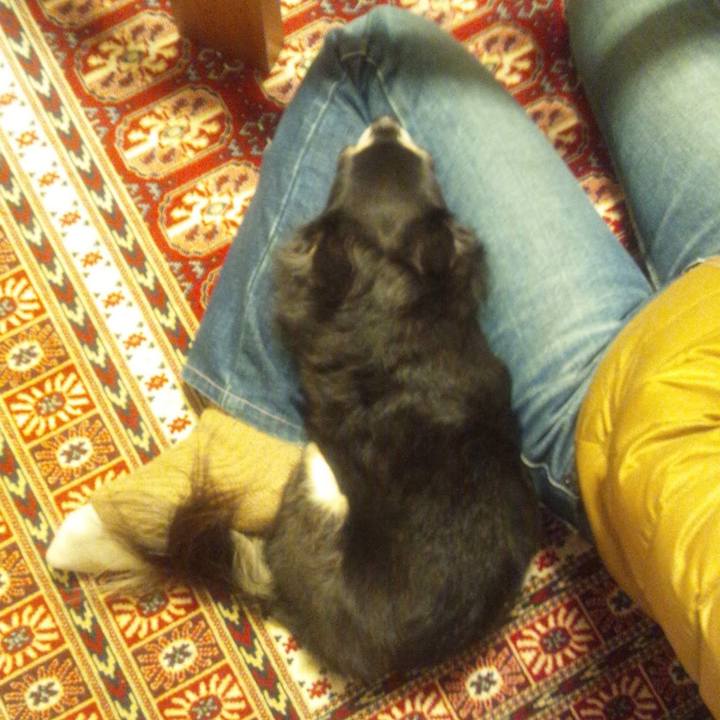 A8fe1169 331f 4db9 831c c1fb1ea59370 1637565667284