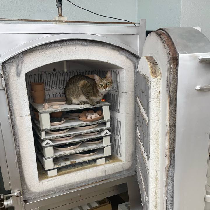 A8fe1663 3338 43d9 a8e1 b7f7f6617895 1680838675825