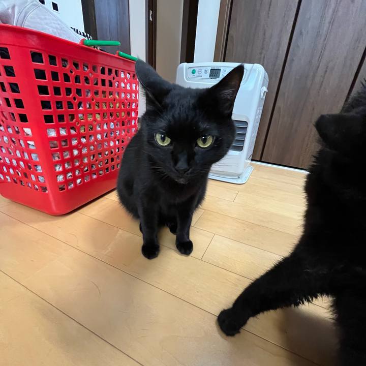 A8fe1c31 b313 488b b8f5 06486b62f10d 1735442447644