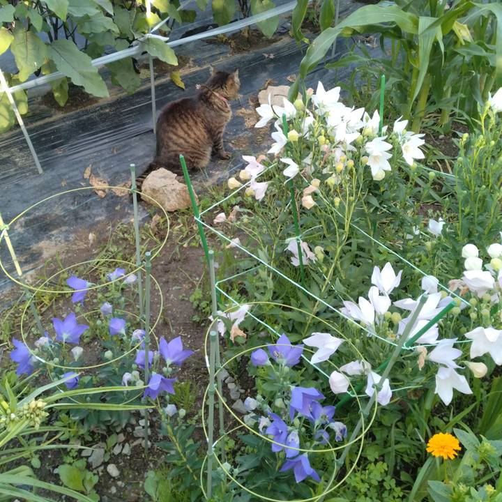 A8fe2805 b67d 47ff acc5 afe371ec747b 1720693224310