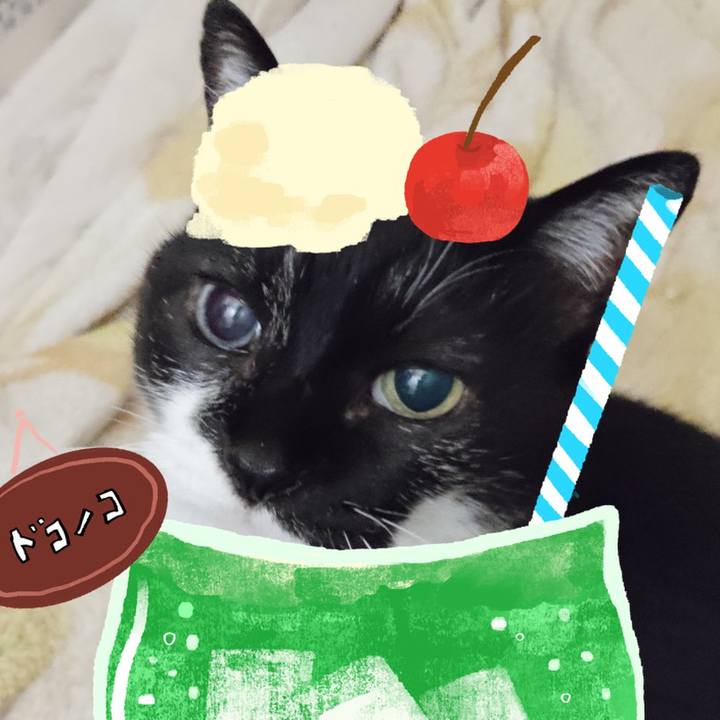 A8fe43e3 35b7 4263 bf41 5e4cfd6c7bed 1755171429758