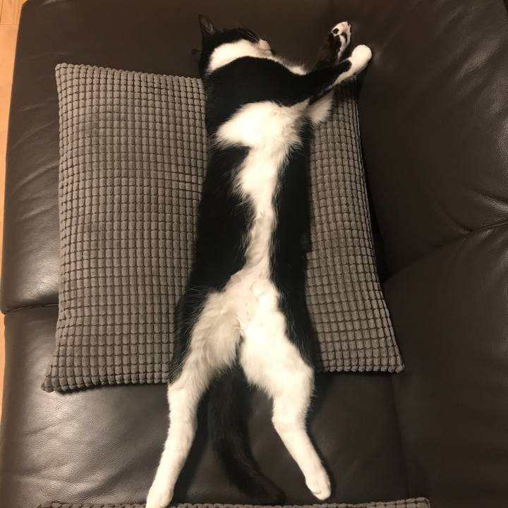 A8fe78d6 e133 464a 9066 db2e80ba3ae5 1526641278925