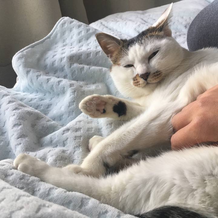 A8fe7a92 dba9 4345 b7ba 8e5efbe14427 1551531500246