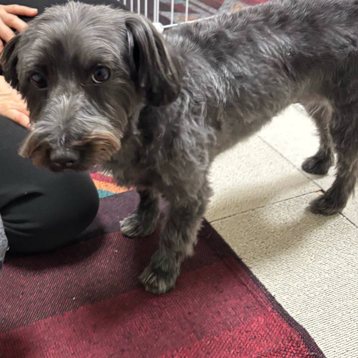 A8fe8953 75ef 4006 867c 8efa53d05bf9 1765794763171