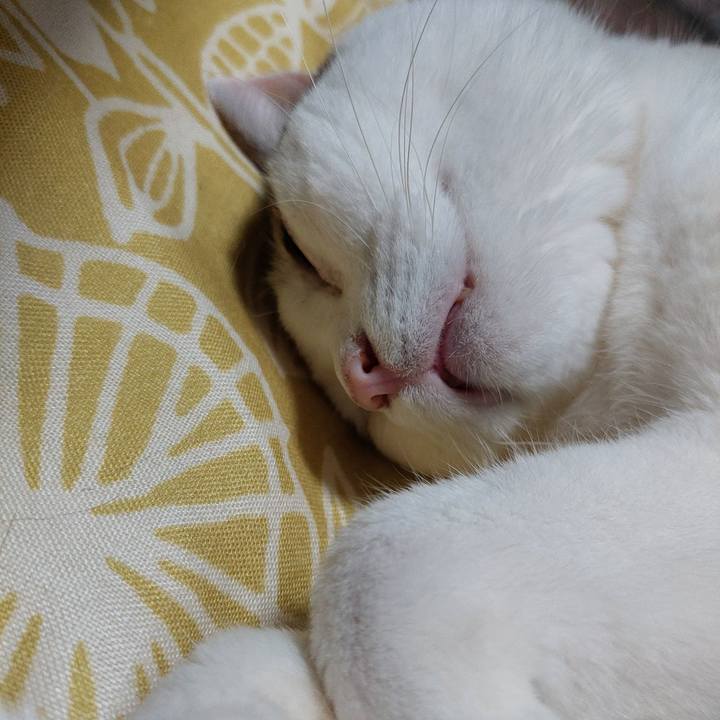 A8feabc8 7990 431b 8bcc 9edc83fc23e4 1722253565333