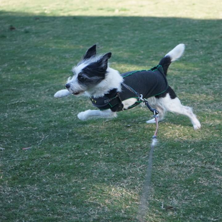 A8feb3c0 9828 41a3 9a79 11a505667c08 1699966979261