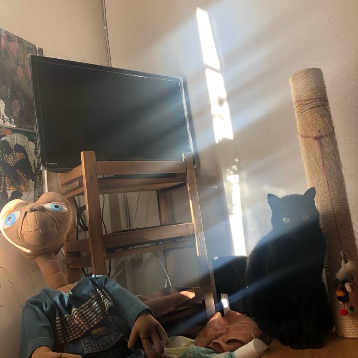 A8febc05 2891 4701 a129 bd11631a366d 1544832848373