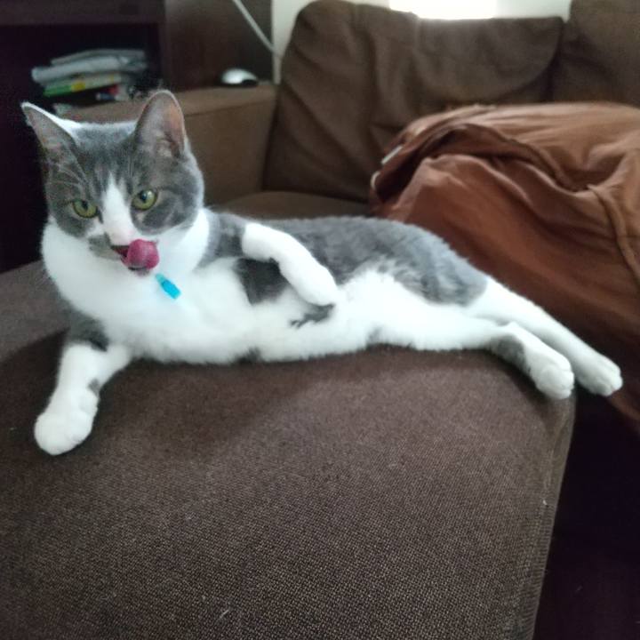 A8feddaf 2299 4ac5 9398 bd6b36e108b1 1623552234462