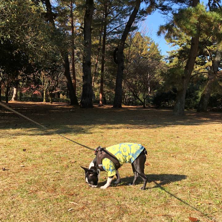 A8fee591 e1fc 45d2 8ba7 fe21abce5455 1512613148551