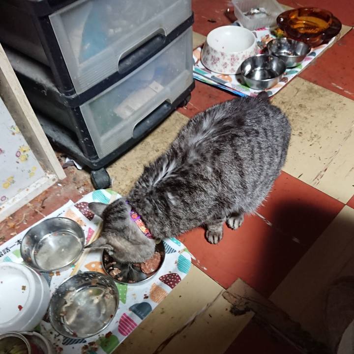 A8ff3743 4152 42cd 8e62 e9ab90544a77 1590176688134