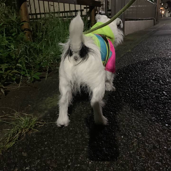 A8ff42b2 954b 4fd3 9f3f 810f4bf4affb 1560602050560