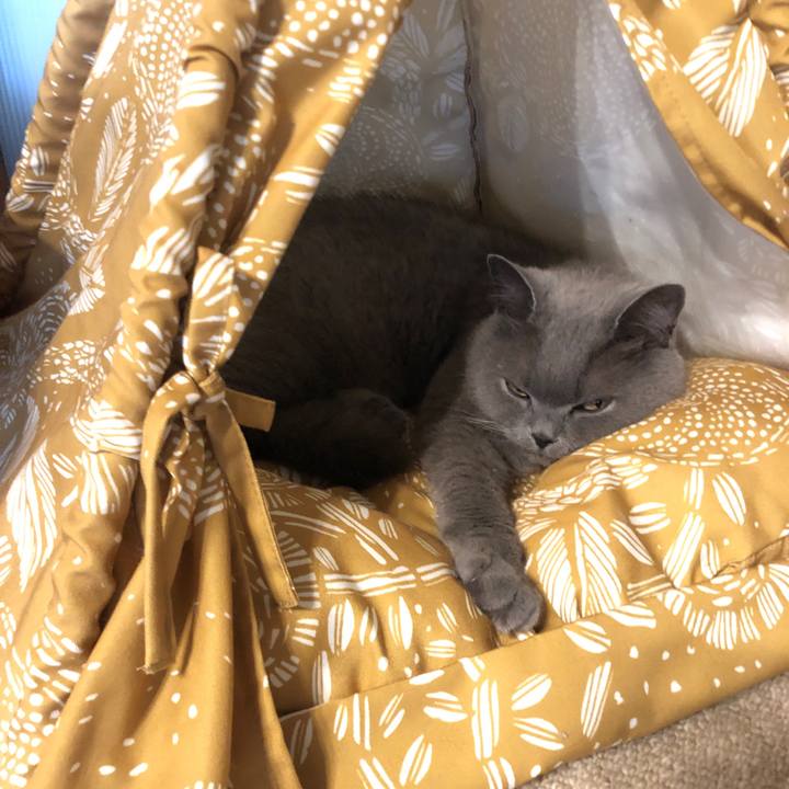 A8ff6692 f22c 44f7 8f11 30247fe43b90 1591957544130