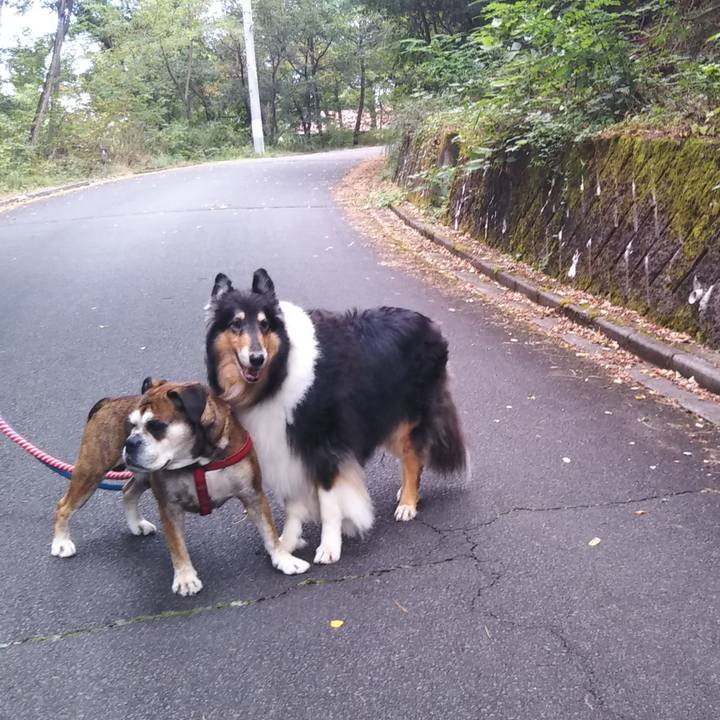 A8ff7bde cac0 4274 b396 dc47c9942627 1570362950570