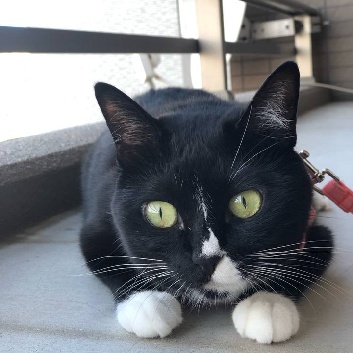 A8ff8689 49ef 4302 b72d e2acd9b45f5a 1564436988699