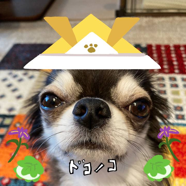 A8ff960d 8154 4c63 9de3 f728ee657606 1714993345761