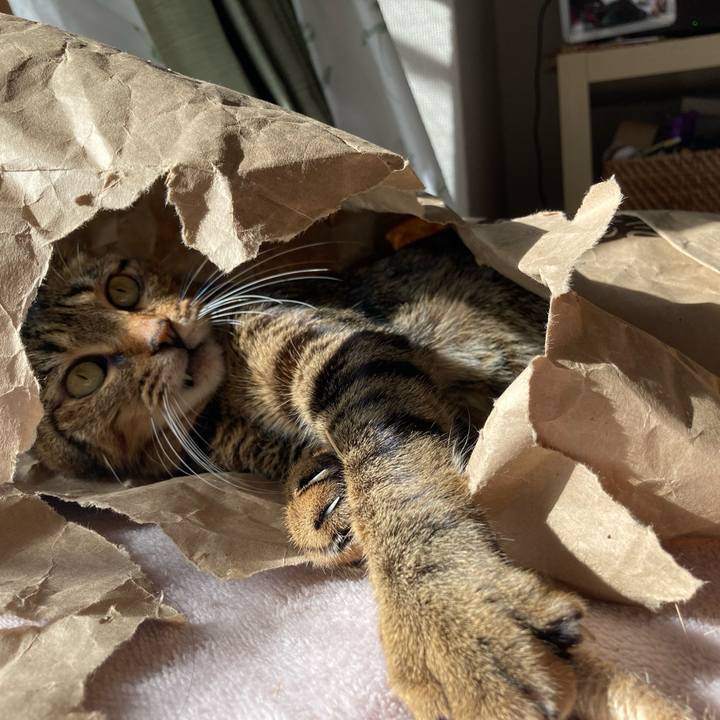 A8ffad68 750d 4323 a035 05032bed0339 1703149568227