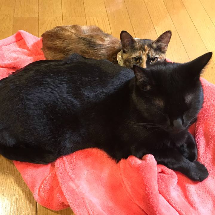 A8ffbdc6 45a7 4167 9427 a68f5acb767f 1606571114584