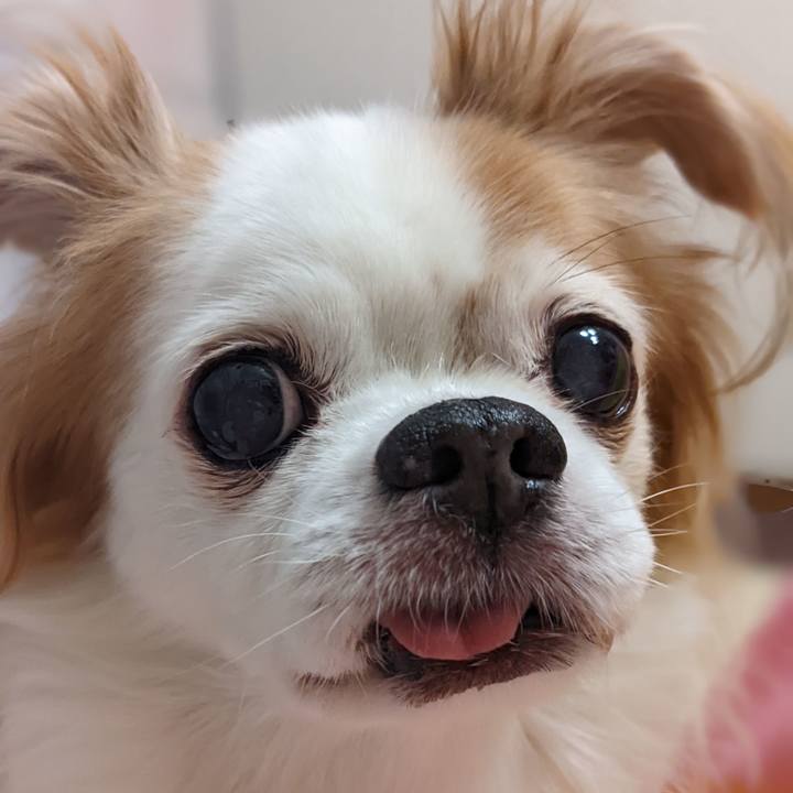 A8ffc5fc 4937 4065 9323 aa1c42282ccd 1660567024102